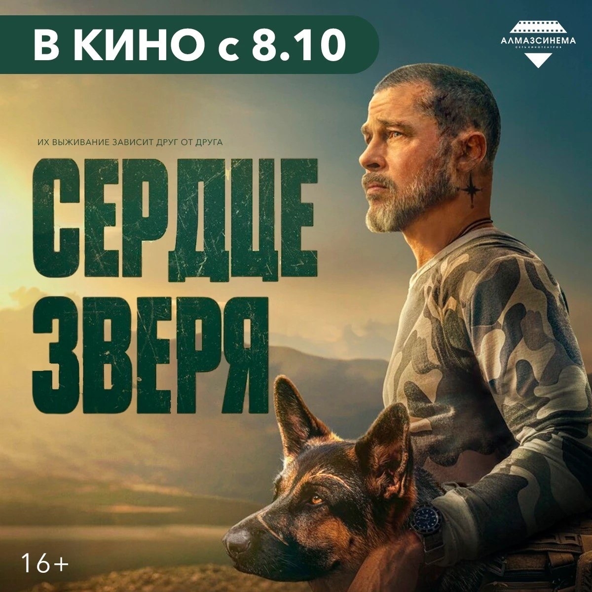 Целый год кино за 350 ₽!